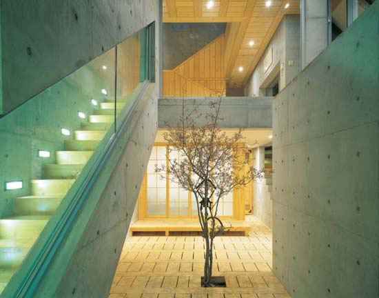 Contemporary Lighting Desiign in Stairwell