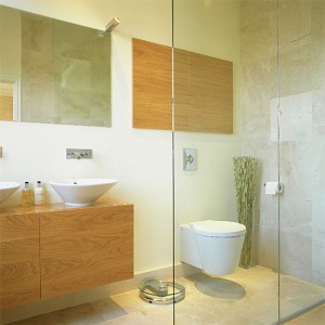 That's A Very Nice Shower, But Where Am I Supposed To Soak