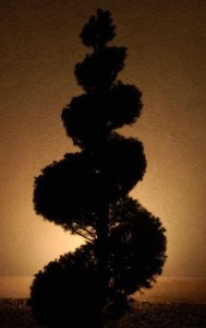 Silhoutte Lighting Can Turn Your Statuary And Topiary Into Cool Shadow Shapes