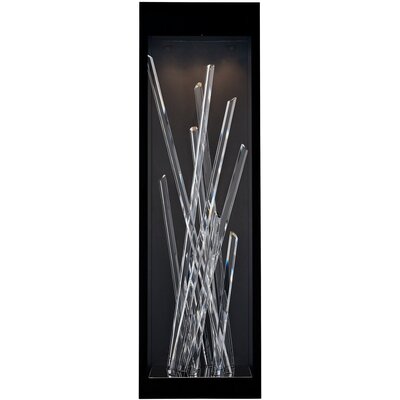 Allegri Arpione Esterno 36 in  Black Fluorocarbon Outdoor Wall Sconce, 720062491010, 090022-052-FR001