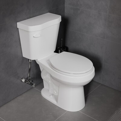 Anzzi Rev 12 inch 2-pieces 1.28 GPF Siphon Round Ceramic Toilet in White Soft Close Seat with ADA height Included, 191042082861, TL-AZ071