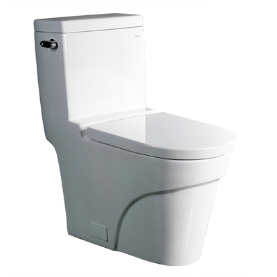 Ariel Platinum TB326M Contemporary European Toilet