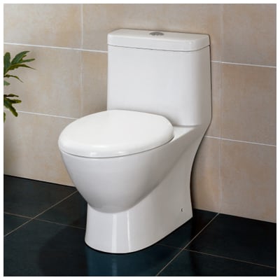 Ariel Platinum TB346M Contemporary Toilet