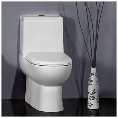 Ariel Platinum TB351M Contemporary Toilet