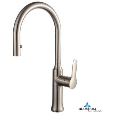 Blossom Single Handle Pull Down Kitchen Faucet - Brush Nickel F0120302