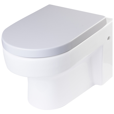 Eago R-101SEAT Replacement Soft Closing Toilet Seat For Wd101