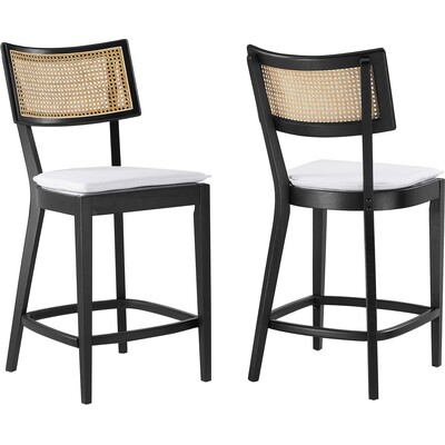 Modway Furniture Caledonia Wood Counter Stools Set of 2 by Modway, 889654287582, EEI-6821