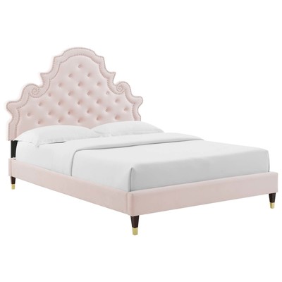 Modway Furniture Beds, Gold,Pink,Fuchsia,blush, Metal,Upholstered,Wood, Platform, Full,Queen, Beds, 889654936794, MOD-6758-PNK