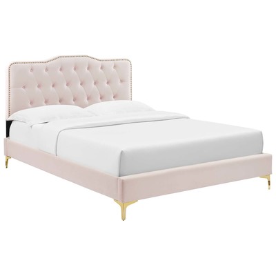 Modway Furniture Beds, Gold,Pink,Fuchsia,blush, Metal,Upholstered,Wood, Platform, Queen, Beds, 889654237112, MOD-6775-PNK