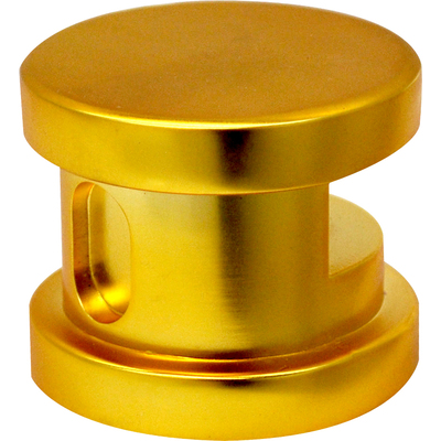 Steam Spa SteamSpa Steamhead with Aromatherapy Reservoir in Polished Gold, 848308005903, G-SHGOLD
