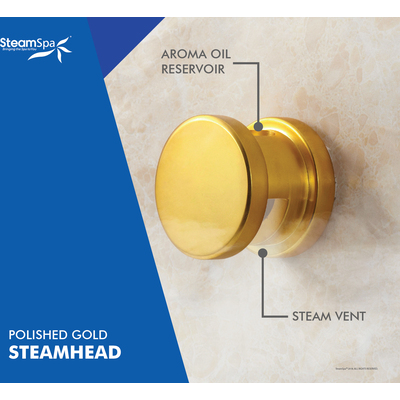 Steam Spa Steam Shower Generator Kit System | Gold + Self Drain Combo| Enclosure Steamer Sauna Spa Stall Package|Touch Screen Wifi App/Bluetooth Control Panel |12 kW Raven | RVB1200GD-A, 191042061859
