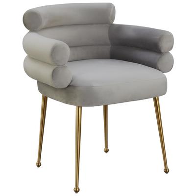 Tov Furniture Dente Grey Velvet Dining Chair TOV-IHD68507