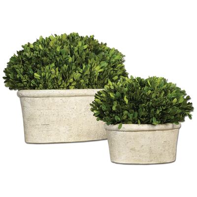 Uttermost Oval Domes Preserved Boxwood Set/2 60107