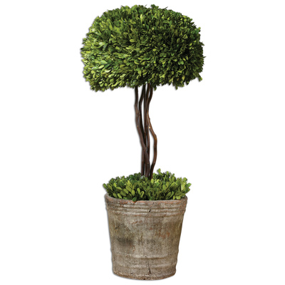 Uttermost Tree Topiary Preserved Boxwood 60095