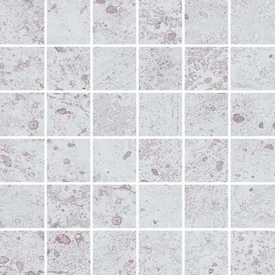 Soci tile SSP-067 Sonora White Matte 2x2 Mosaic 12X12