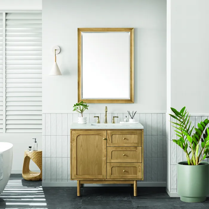 James-Martin-545V36LNO3LDL-9