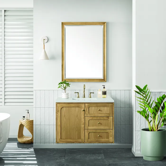 James-Martin-545V36LNO3LDL-8