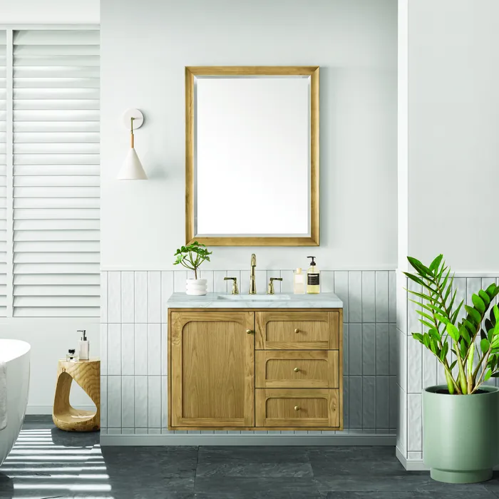 James-Martin-545V36LNO3VSL-8