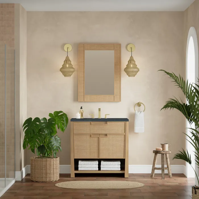 James-Martin-D225V36SSO3CSP-5