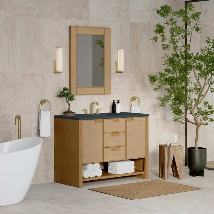 James-Martin-D225V48SSO3CSP-4