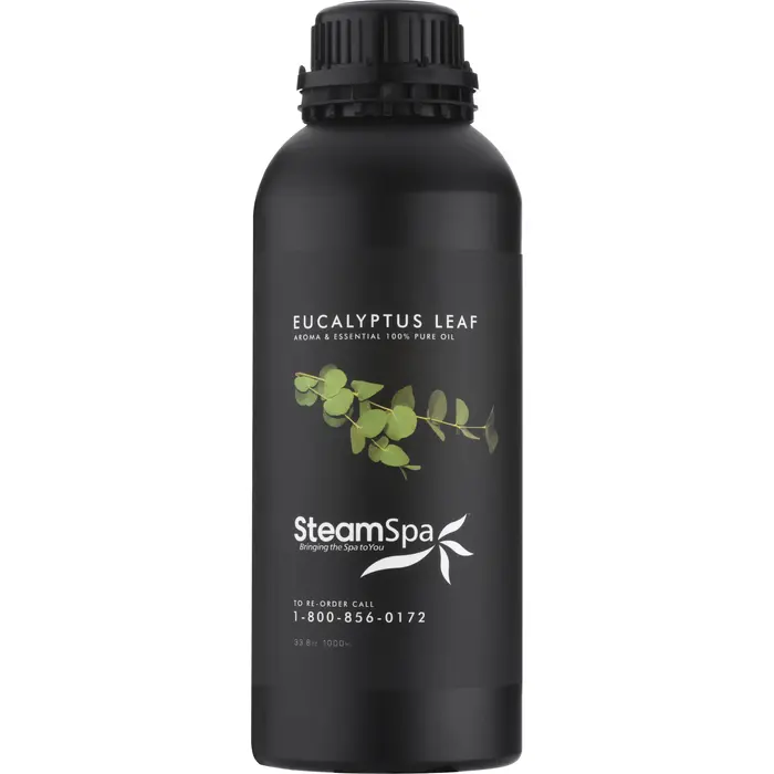 Steam-Spa-GOILEUC1K-3