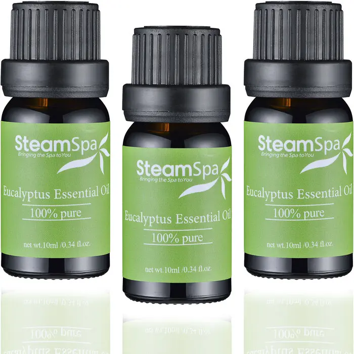 Steam-Spa-GOILEUC3-1