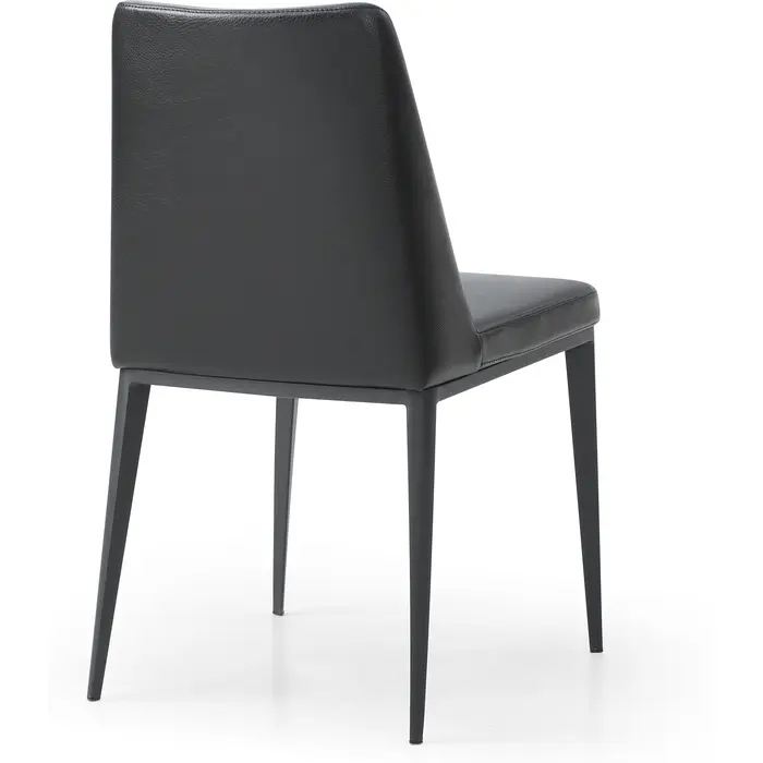 WhiteLine-DC1478PBLK-3