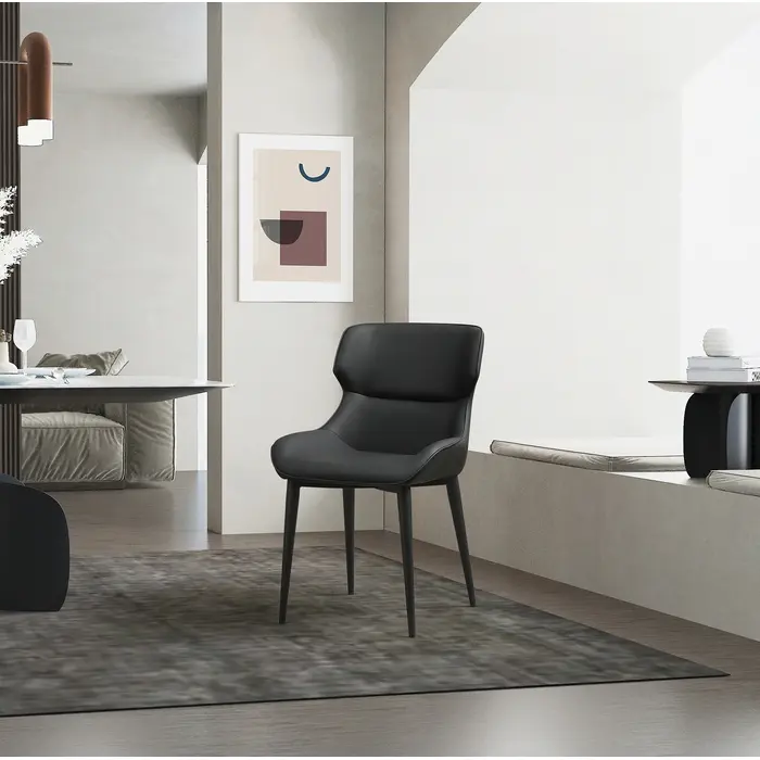 WhiteLine-DC1709PBLK-7