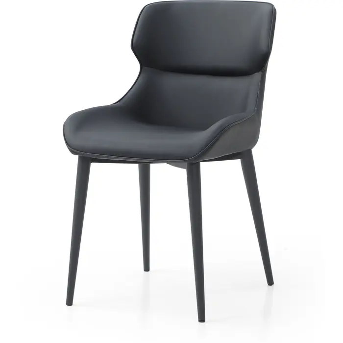 WhiteLine-DC1709PBLK-5