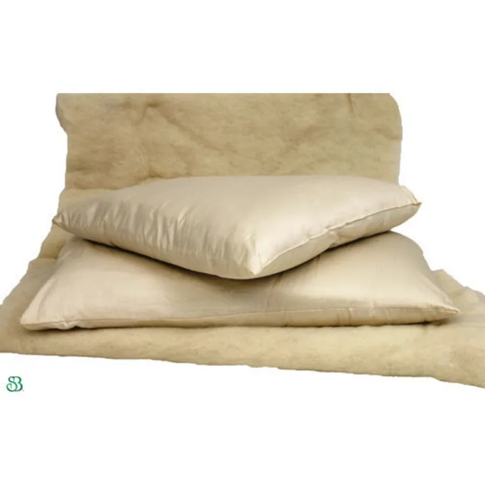 sleep-and-beyond-OP-6